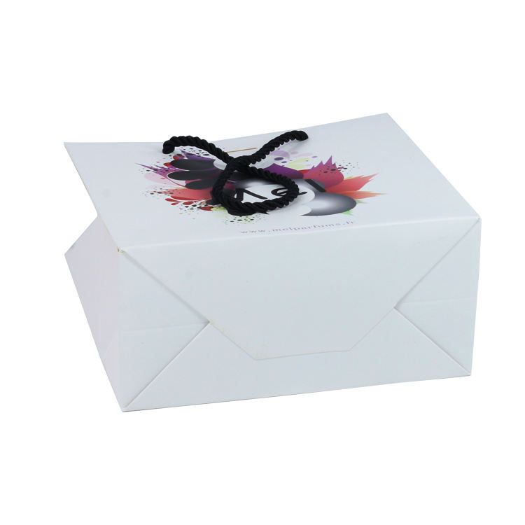 Luxury European-Style Printed Paper Bag view 2