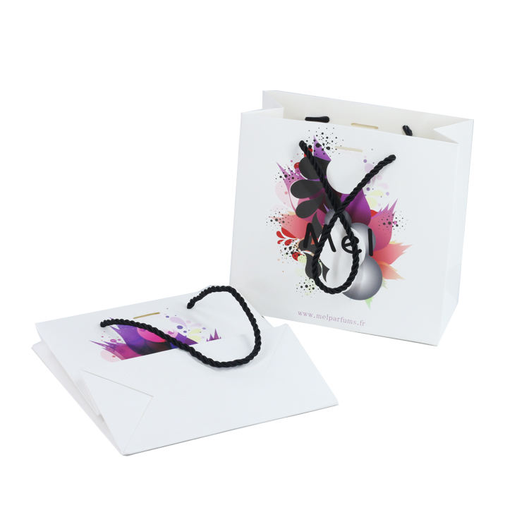Luxury European-Style Printed Paper Bag view 3