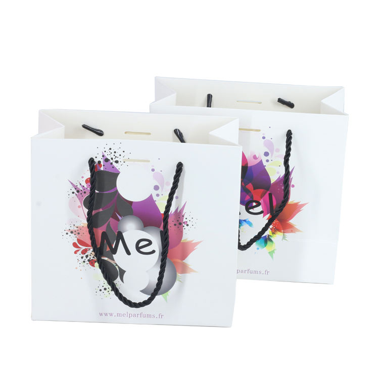 Luxury European-Style Printed Paper Bag view 6