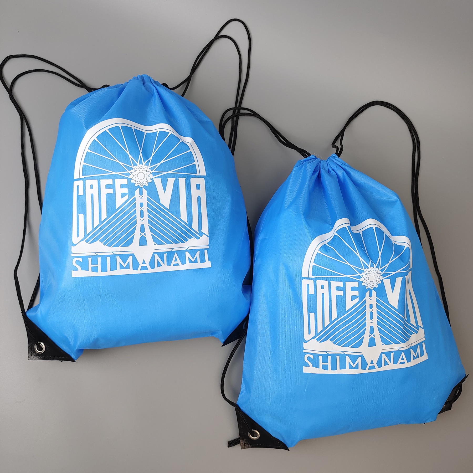 Sky Blue Screen-Printed Polyester Backpack
