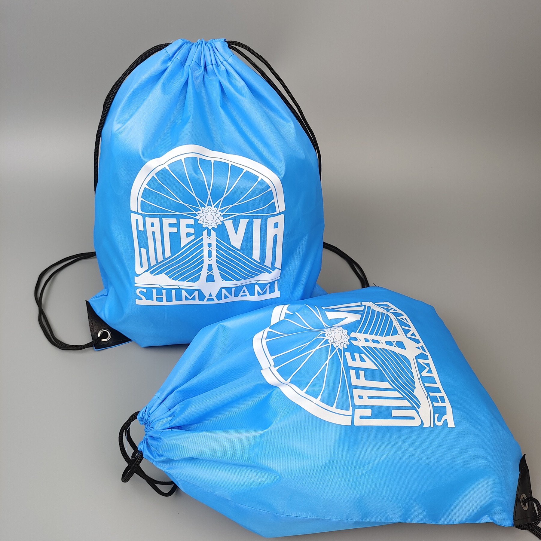 Sky Blue Screen-Printed Polyester Backpack view 2